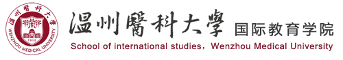 國(guó)际教育學(xué)院网站建设